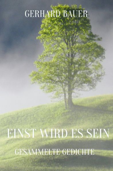 Cover von EINST WIRD ES SEIN