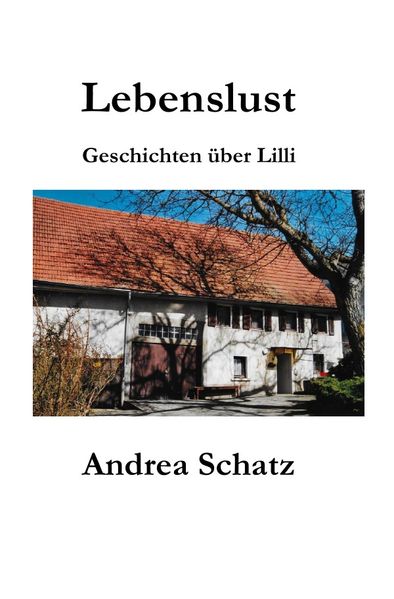 Cover von Geschichten über Lilli / Lebenslust