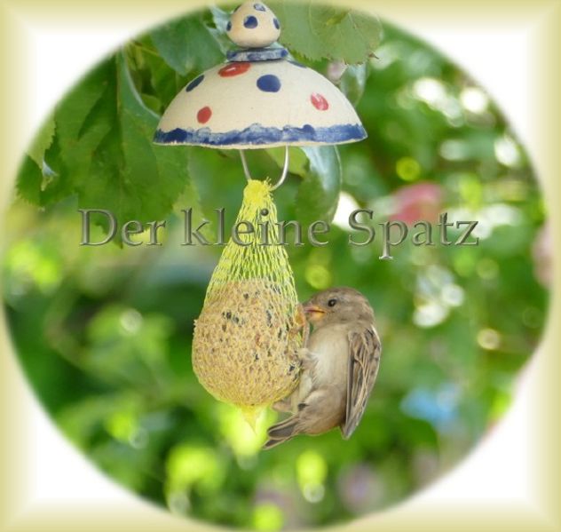 Cover von Der kleine Spatz