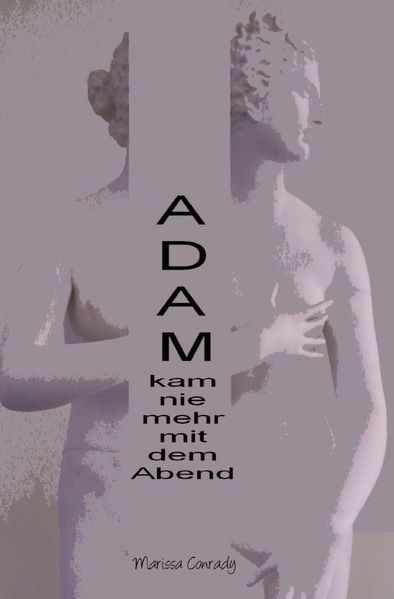 Cover von Adam kam nie mehr mit dem Abend