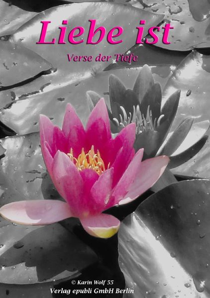 Cover von LIEBE ist