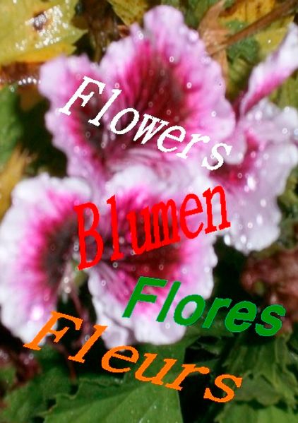Cover von Flowers  Blumen  Fleurs  Flores