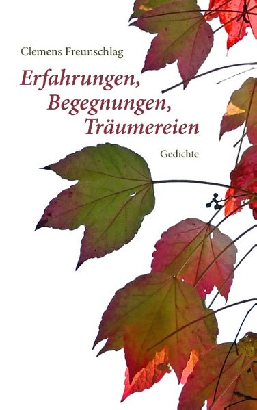 Cover von Erfahrungen, Begegnungen, Träumereien