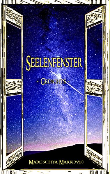 Cover von Seelenfenster