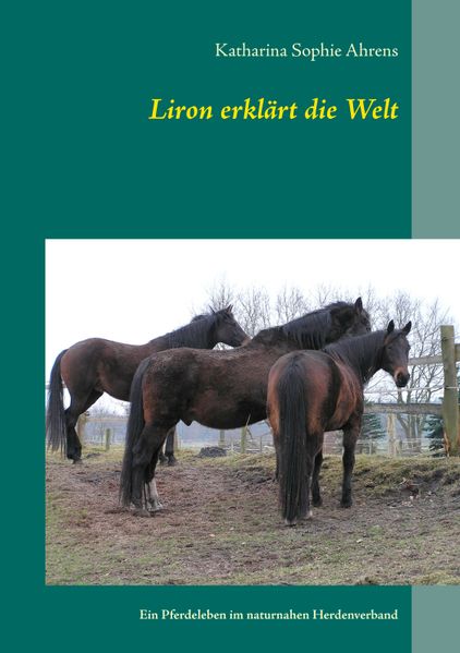 Cover von Liron erklärt die Welt
