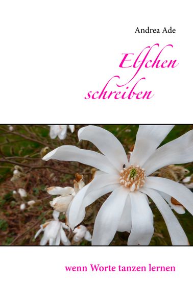 Cover von Elfchen schreiben