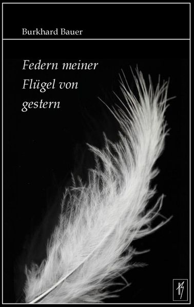 Cover von Federn meiner Flügel von gestern
