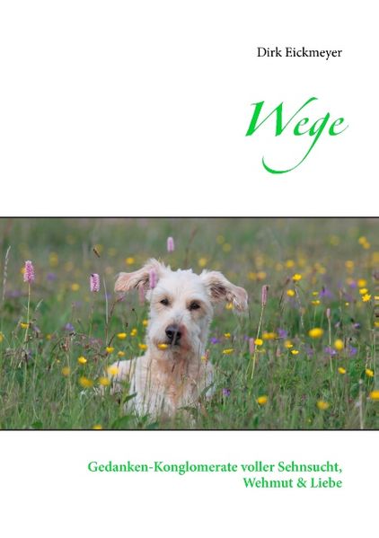 Cover von Wege