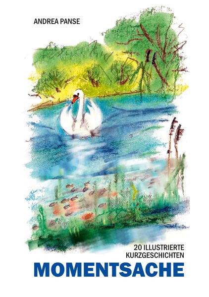 Cover von Momentsache