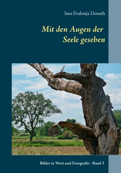 Cover von Mit den Augen der Seele gesehen