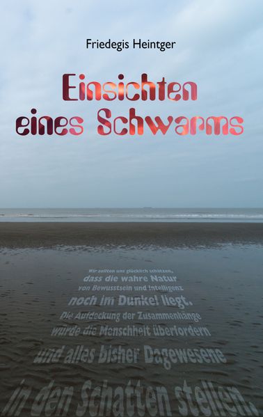 Cover von Einsichten eines Schwarms