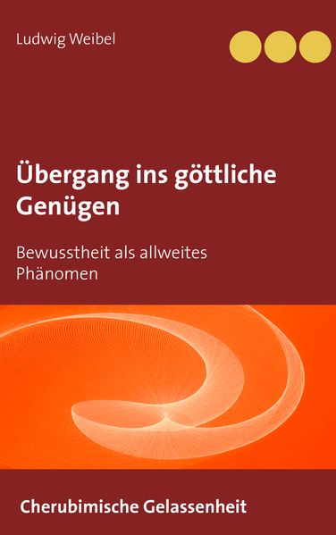 Cover von Übergang ins göttliche Genügen