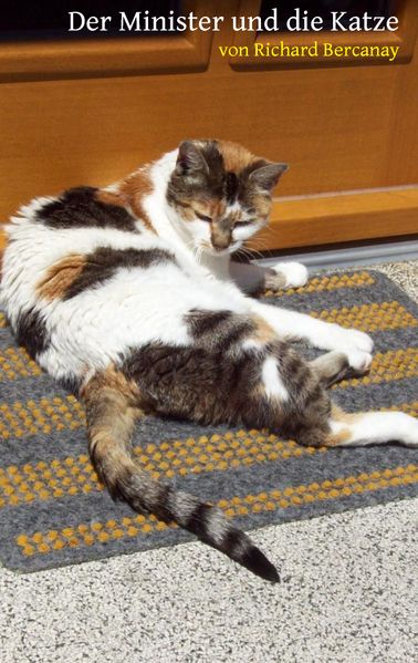Cover von Der Minister und die Katze