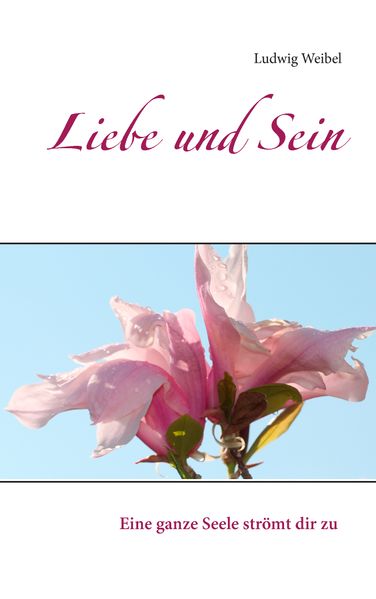 Cover von Liebe und Sein