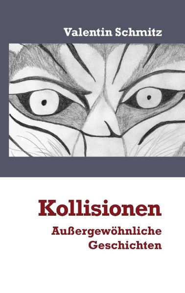 Cover von Kollisionen