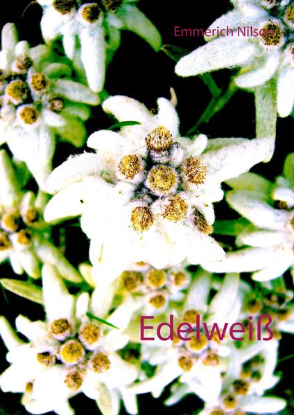 Cover von Edelweiß