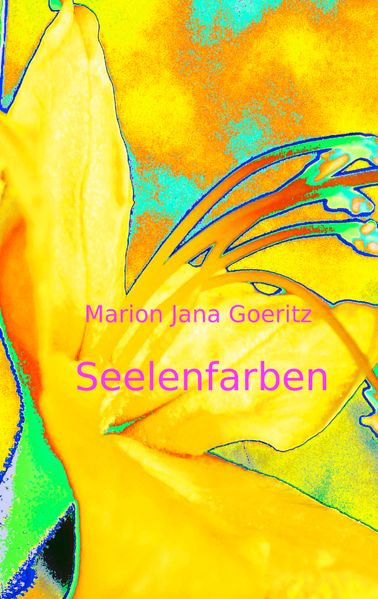 Cover von Seelenfarben