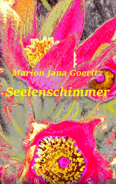 Cover von Seelenschimmer