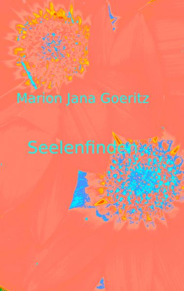 Cover von Seelenfinden
