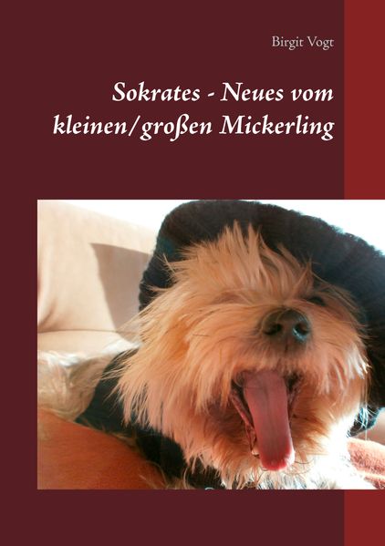 Cover von Sokrates – Neues vom kleinen/großen Mickerling