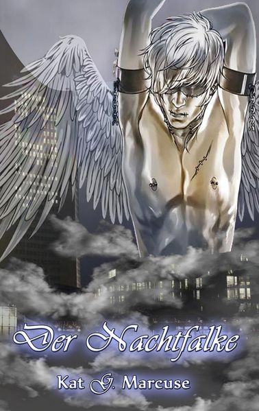 Cover von Der Nachtfalke