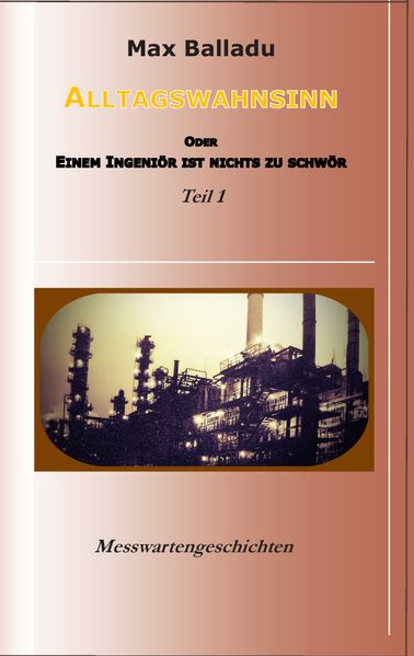 Cover von Alltagswahnsinn oder einem Ingeniör ist nichts zu schwör