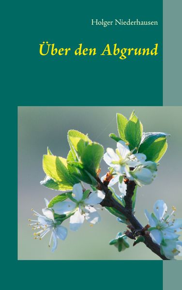 Cover von Über den Abgrund