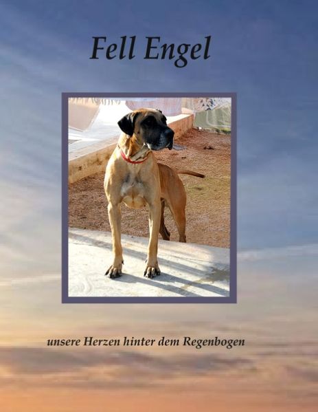 Cover von Fell Engel
