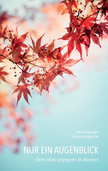Cover von Nur ein Augenblick