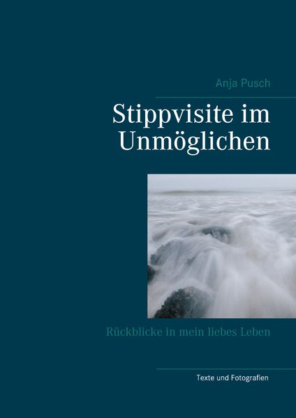 Cover von Stippvisite im Unmöglichen