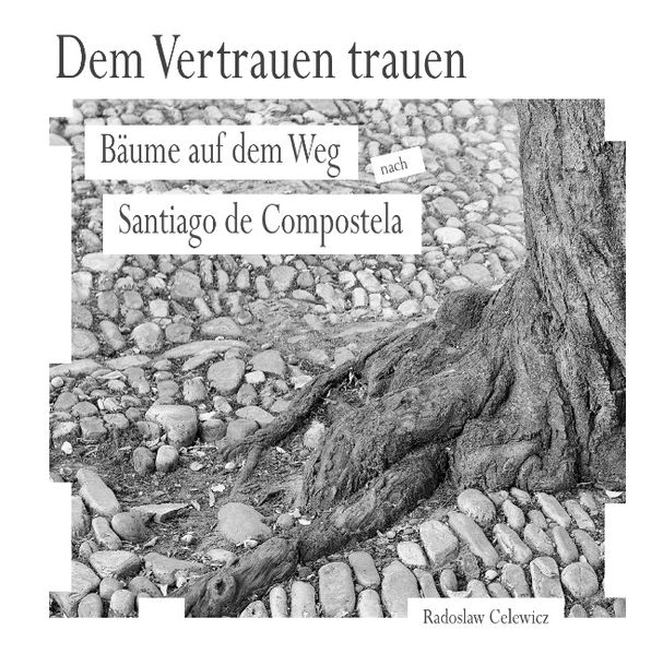 Cover von Dem Vertrauen trauen