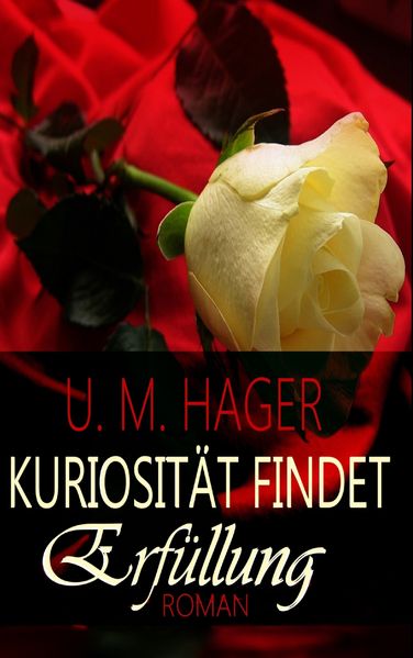 Cover von Kuriosität findet – Erfüllung