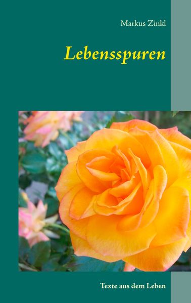 Cover von Lebensspuren