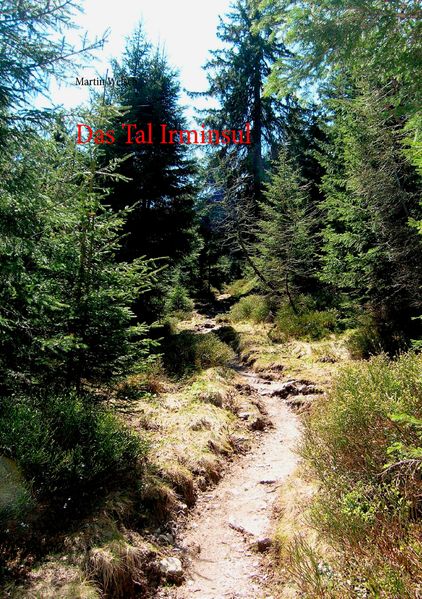 Cover von Das Tal Irminsul