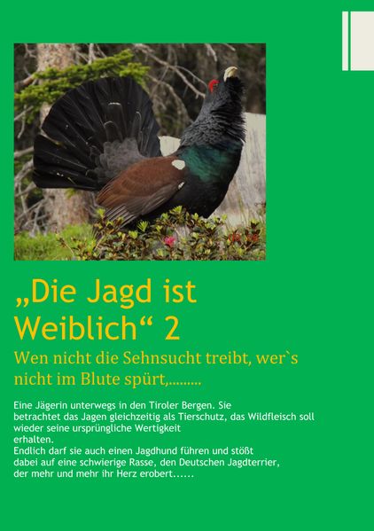 Cover von Wen nicht die Sehnsucht treibt, wers nicht im Blute spürt,…