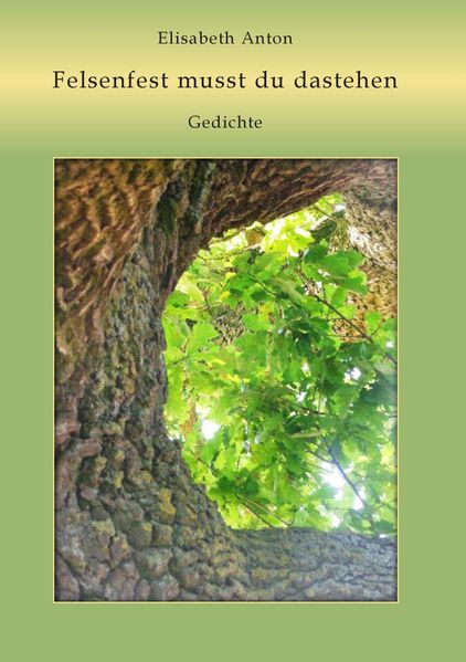 Cover von Felsenfest musst du dastehen