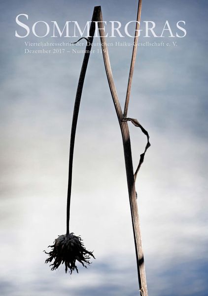 Cover von Sommergras 119