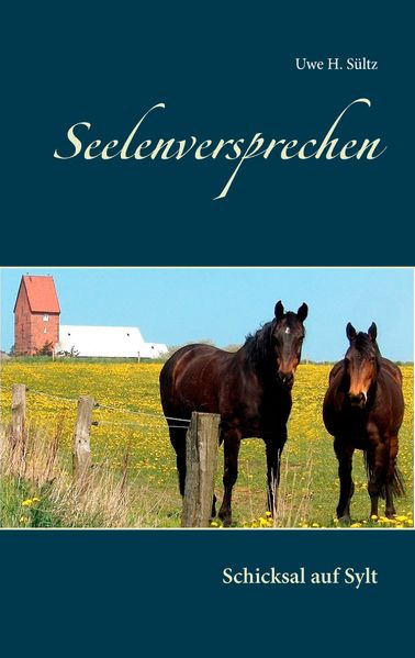 Cover von Seelenversprechen