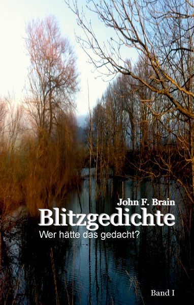 Cover von Blitzgedichte