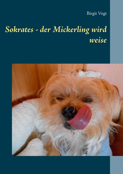 Cover von Sokrates – der Mickerling wird weise