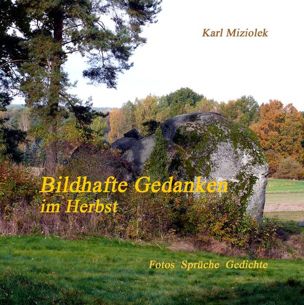 Cover von Bildhafte Gedanken