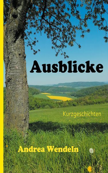 Cover von Ausblicke
