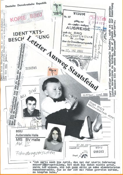 Cover von Letzter Ausweg Staatsfeind
