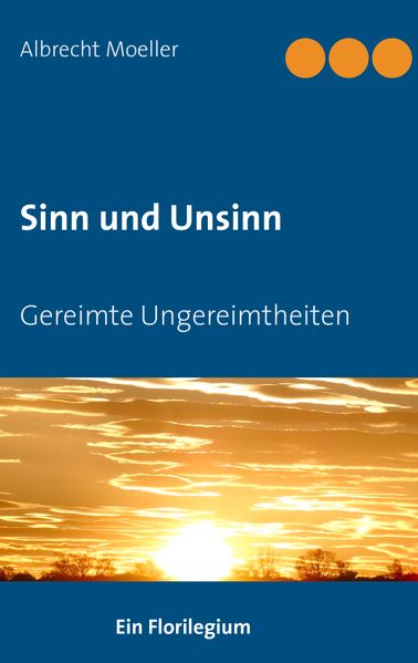 Cover von Sinn und Unsinn