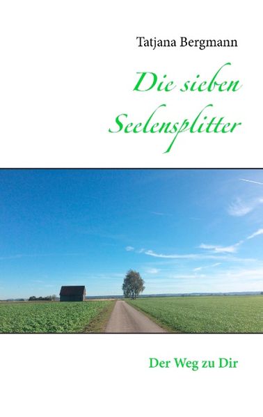 Cover von Die sieben Seelensplitter