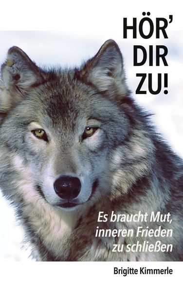 Cover von Hör‘ dir zu!