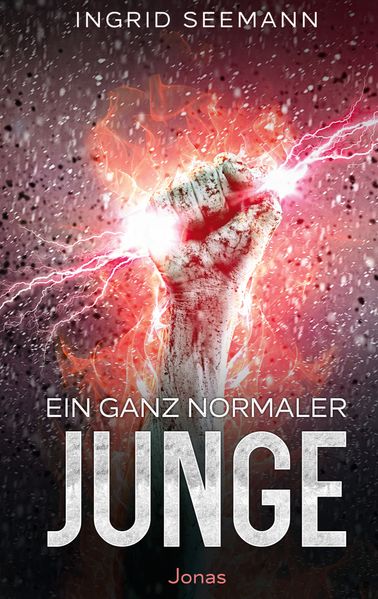 Cover von Ein ganz normaler Junge