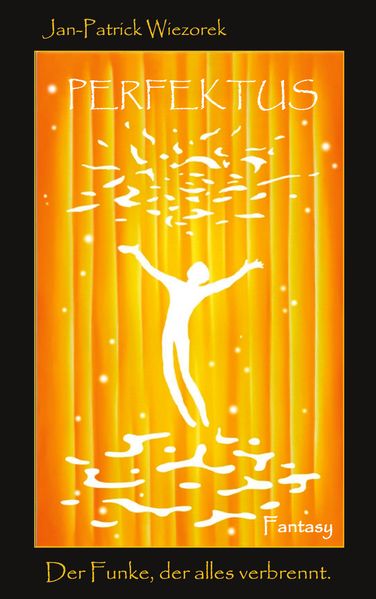 Cover von Perfektus