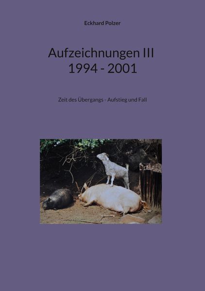 Cover von Aufzeichnungen III; 1994 – 2001