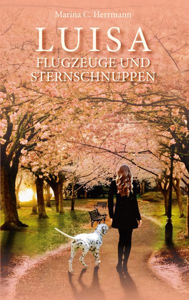 Cover von Luisa – Flugzeuge und Sternschnuppen